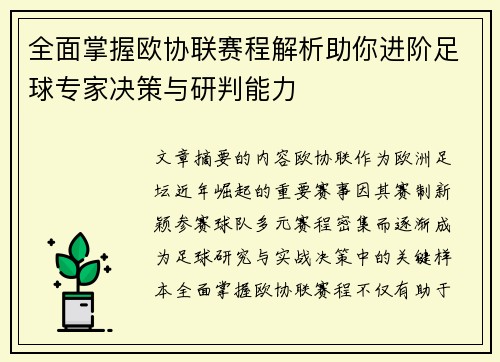 全面掌握欧协联赛程解析助你进阶足球专家决策与研判能力
